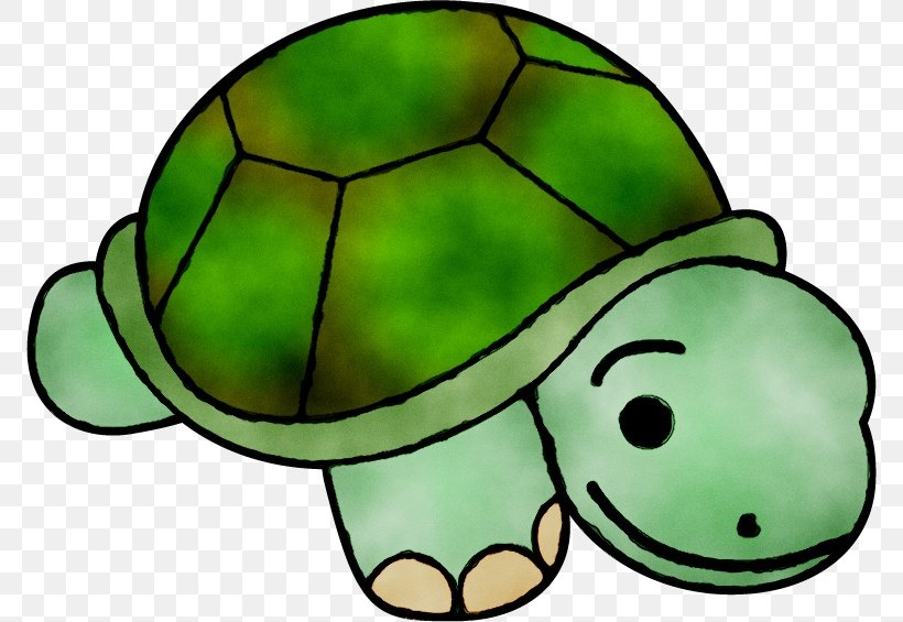 Clip Art Turtle Free Content Image, PNG, 772x565px, Turtle, Blog, Box Turtle, Drawing, Green Download Free