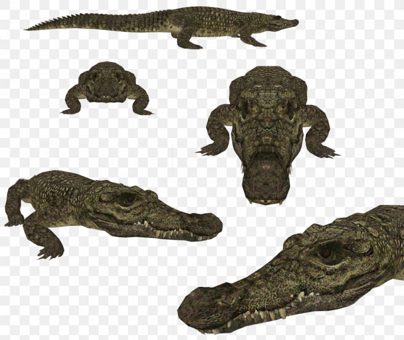 Nile Crocodile Zoo Tycoon 2 Crocodiles American Alligator, PNG, 1024x862px, Crocodile, Alligator, Alligator Snapping Turtle, American Alligator, American Crocodile Download Free