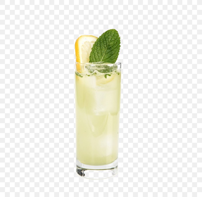 Rickey Juice Cocktail Mojito Fizzy Drinks, PNG, 497x800px, Rickey, Batida, Caipiroska, Cocktail, Cocktail Garnish Download Free