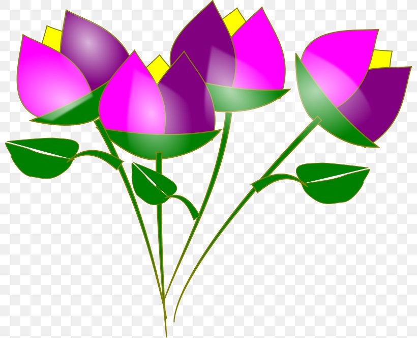 Vase Flower Clip Art, PNG, 800x664px, Vase, Cut Flowers, Flora, Floral Design, Flower Download Free