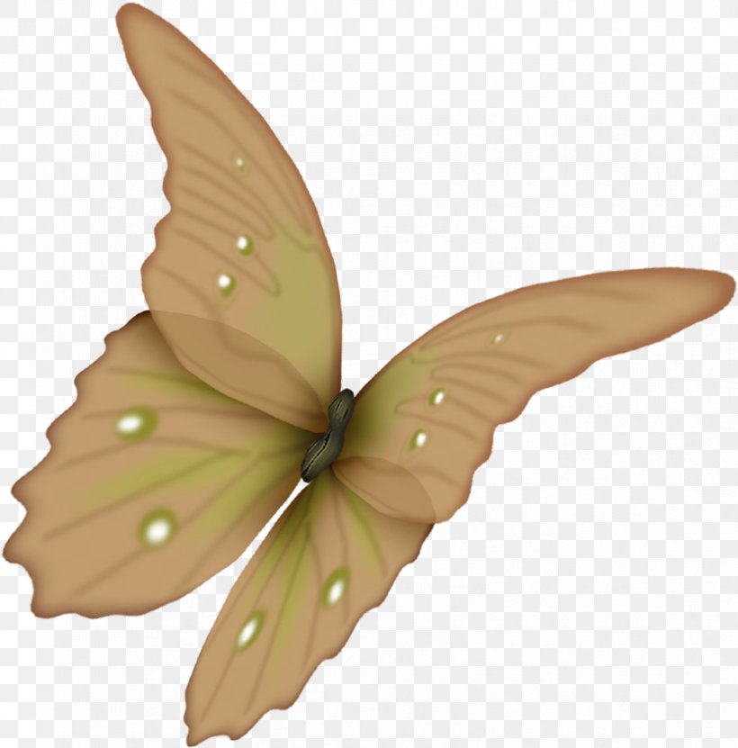 Butterfly Flower Paper Clip Art, PNG, 831x843px, Butterfly, Bombycidae, Butterflies And Moths, Cut Flowers, Drawing Download Free