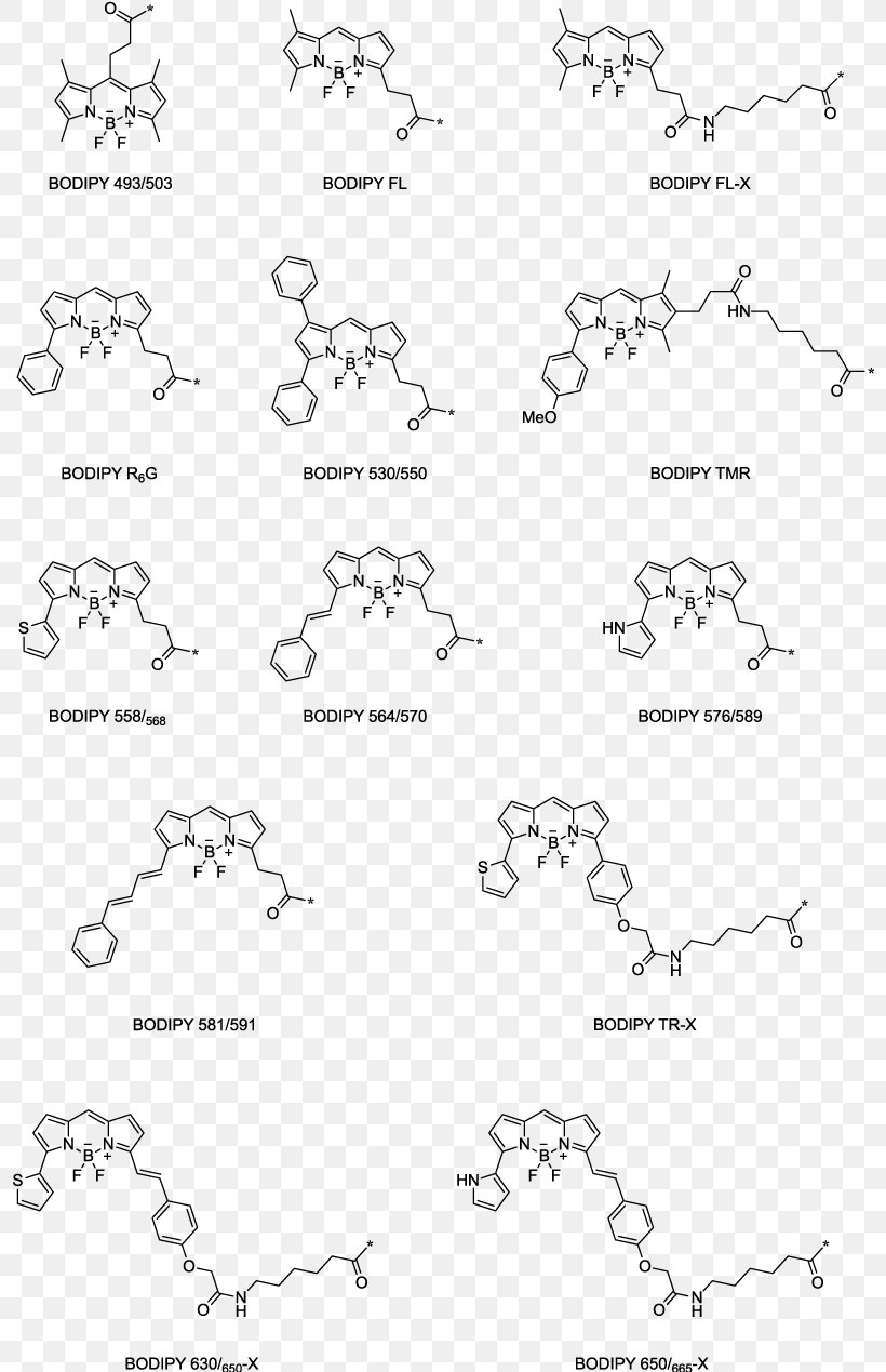 BODIPY Fluorophore Förster Resonance Energy Transfer Fluorescence Boron, PNG, 798x1269px, Fluorophore, Area, Black, Black And White, Border Download Free