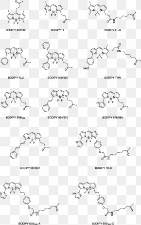 Rhodamine Alkyne Azide Fluorescence Fluorophore Png X Px Watercolor Cartoon Flower