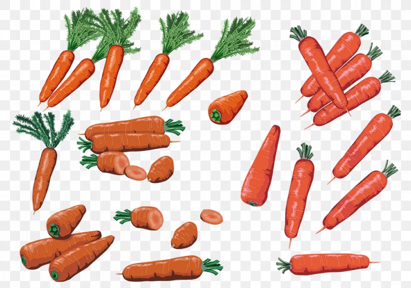 Carrot Clip Art, PNG, 1000x700px, Carrot, Animal Source Foods, Baby Carrot, Bockwurst, Bologna Sausage Download Free
