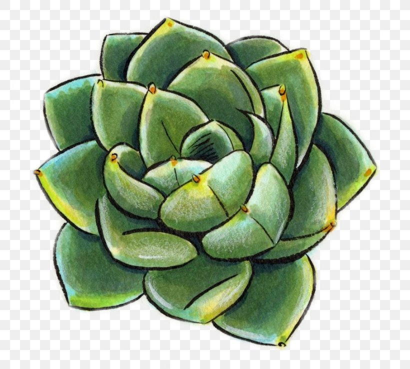 Black and White Succulent in Pot Drawing by Donna Mibus  Pixels