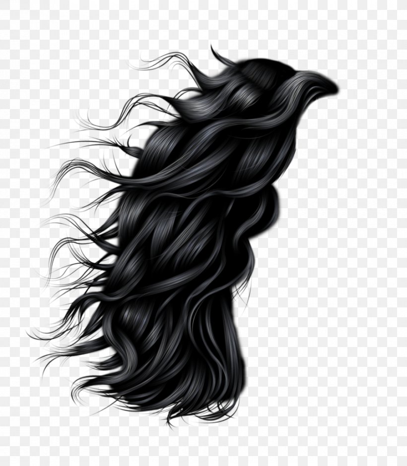 Hairstyle Photography Clip Art, PNG, 900x1032px, Hair, Black, Black And White, Black Hair, Brown Hair Download Free