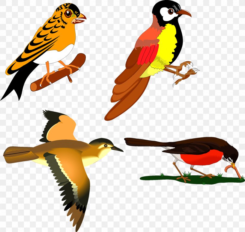 Hummingbird Sparrow Drawing, PNG, 1300x1230px, Bird, Beak, Brush, Bullfinch, Drawing Download Free