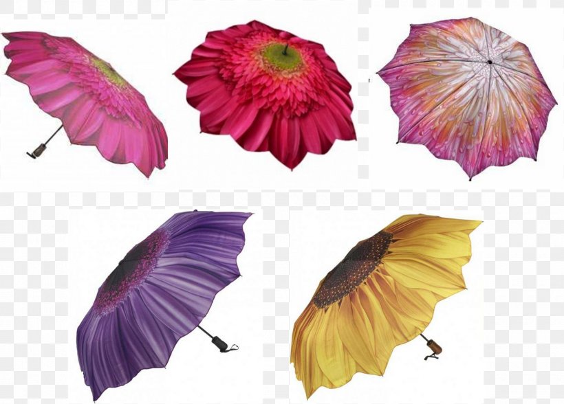 Petal Umbrella Amazon.com Purple Flowering Plant, PNG, 1600x1149px, Petal, Amazoncom, Flower, Flowering Plant, Magenta Download Free