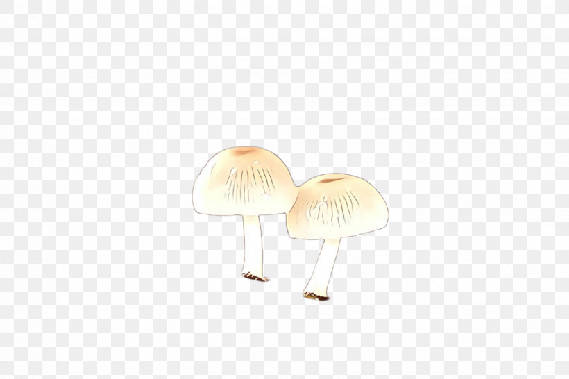 White Mushroom Beige, PNG, 2448x1632px, White, Beige, Mushroom Download Free