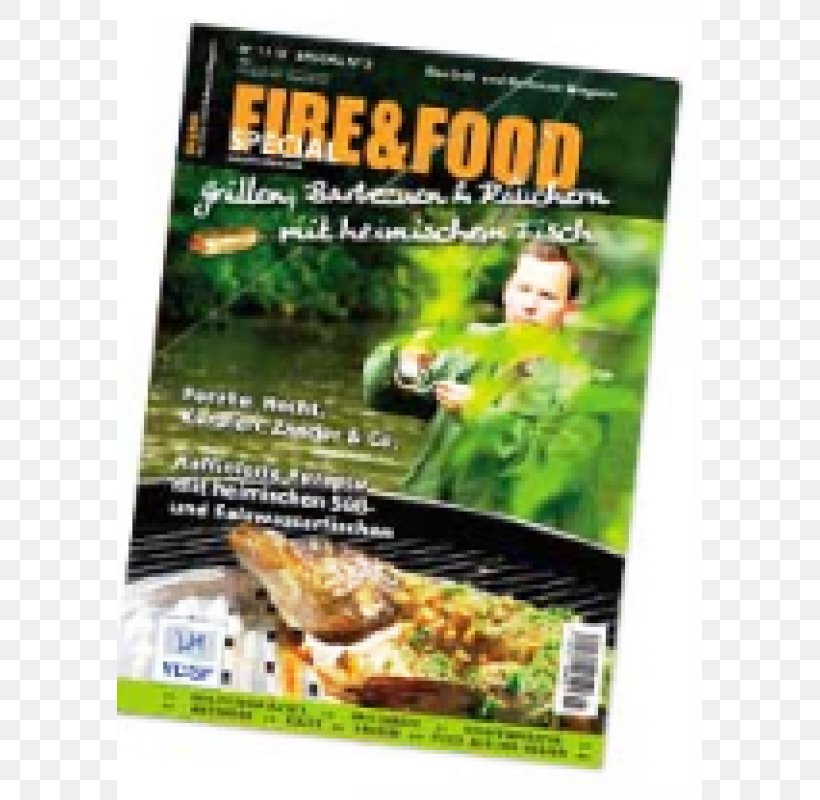 Barbecue Food Magazine Smoking Grilling, PNG, 800x800px, Barbecue, Fire, Food, Grilling, Magazine Download Free