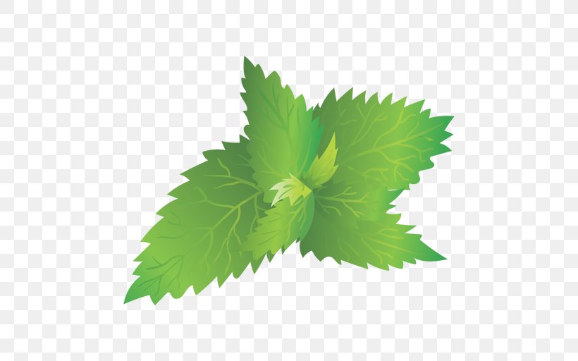 Leaf Image Plants Design, PNG, 512x512px, Leaf, Cartoon, Grape Leaves, Grass, Herb Download Free