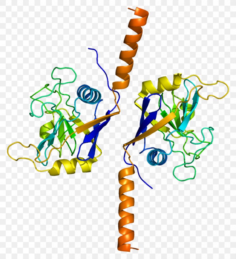 PPIL2 BRCA1 Gene Ubiquitin Ligase Cyclophilin, PNG, 852x935px, Gene, Area, Body Jewelry, Brca Mutation, Decoding Annie Parker Download Free