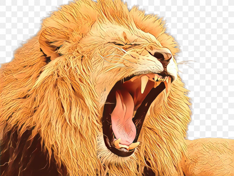 Roar Lion Masai Lion Facial Expression Wildlife, PNG, 2304x1736px, Roar, Adaptation, Facial Expression, Fang, Fur Download Free