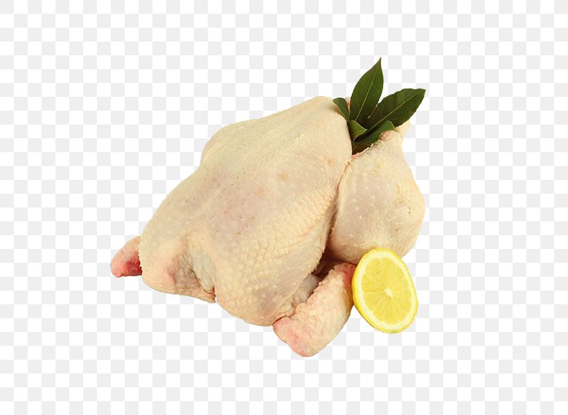 White Cut Chicken Giblets Chicken As Food Biryani, PNG, 600x600px, White Cut Chicken, Abel Cole Limited, Animal Fat, Biryani, Chicken Download Free