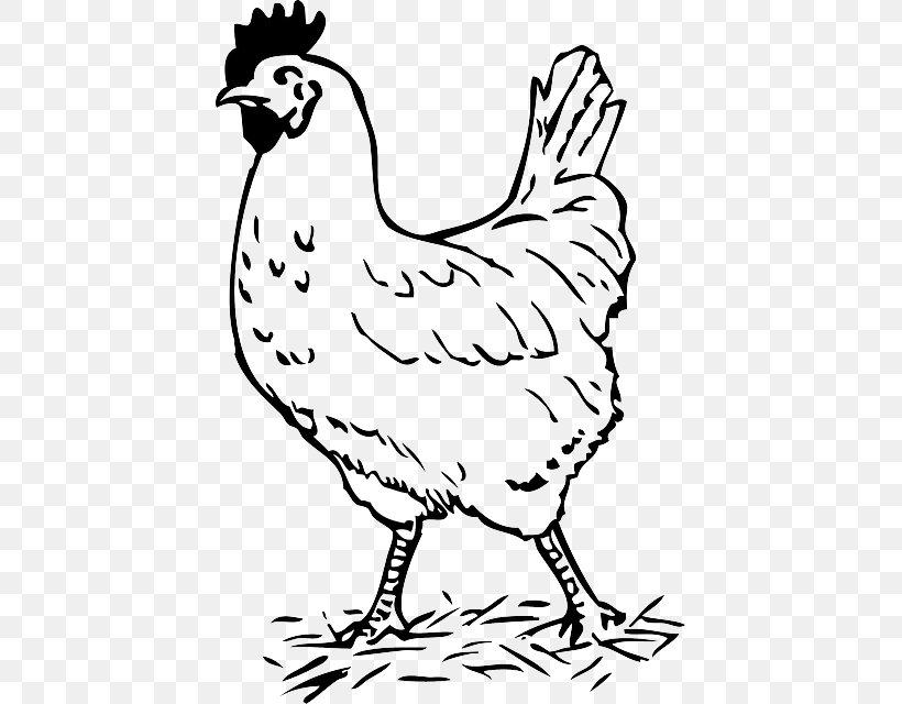 Chicken Rooster Drawing Clip Art, PNG, 427x640px, Chicken, Animal Figure, Art, Artwork, Beak Download Free