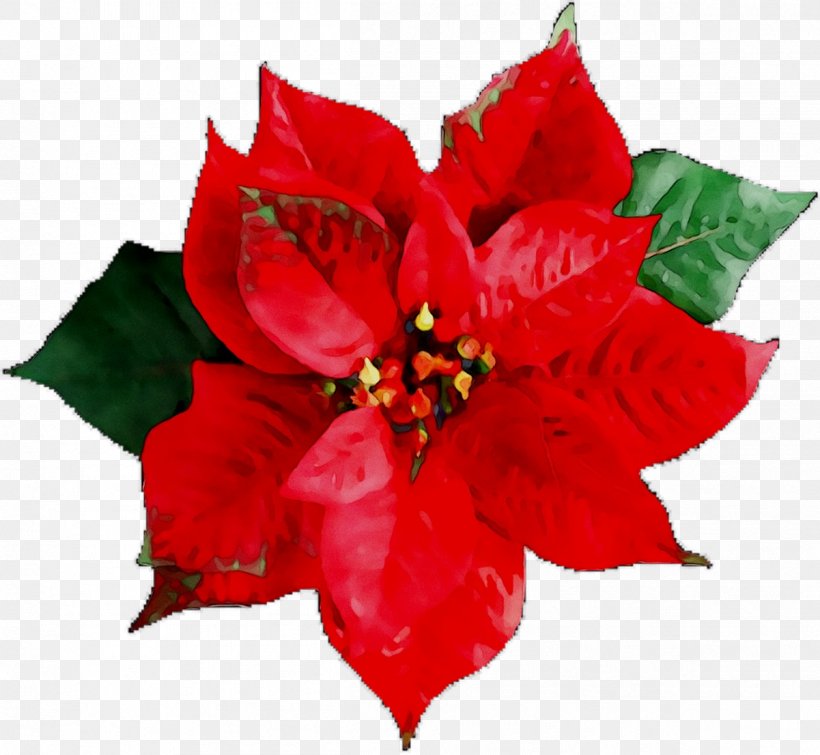 Stock Photography Poinsettia Image Royalty-free Illustration, PNG, 1201x1106px, Stock Photography, Artificial Flower, Christmas Day, Flower, Flowering Plant Download Free
