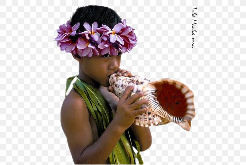 Bora Bora Tahiti Mo'orea Huahine Raiatea, PNG, 565x550px, Bora Bora, Beach, Crociera, Cut Flowers, Floral Design Download Free