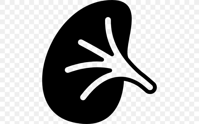 Clip Art, PNG, 512x512px, Symbol, Black And White, Finger, Hand, Kidney Download Free