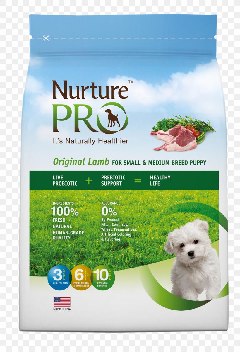Dog Food Puppy Cat Food, PNG, 1000x1465px, Dog, Brand, Breed, Cat, Cat Food Download Free