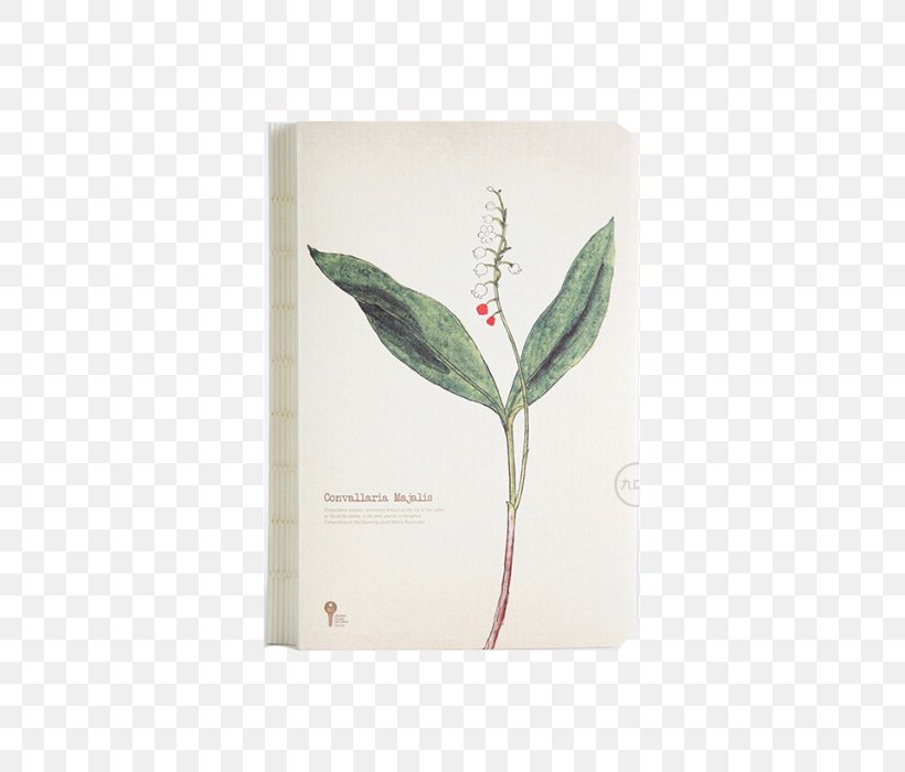 Lily Of The Valley Paper Notebook The Doorbell Rang Diary, PNG, 640x700px, Lily Of The Valley, Diary, Doorbell Rang, Information, Leaf Download Free