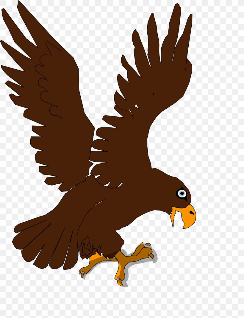Bald Eagle Bird Of Prey Child, PNG, 1841x2400px, Bald Eagle, Beak, Bird, Bird Of Prey, Chicken Download Free