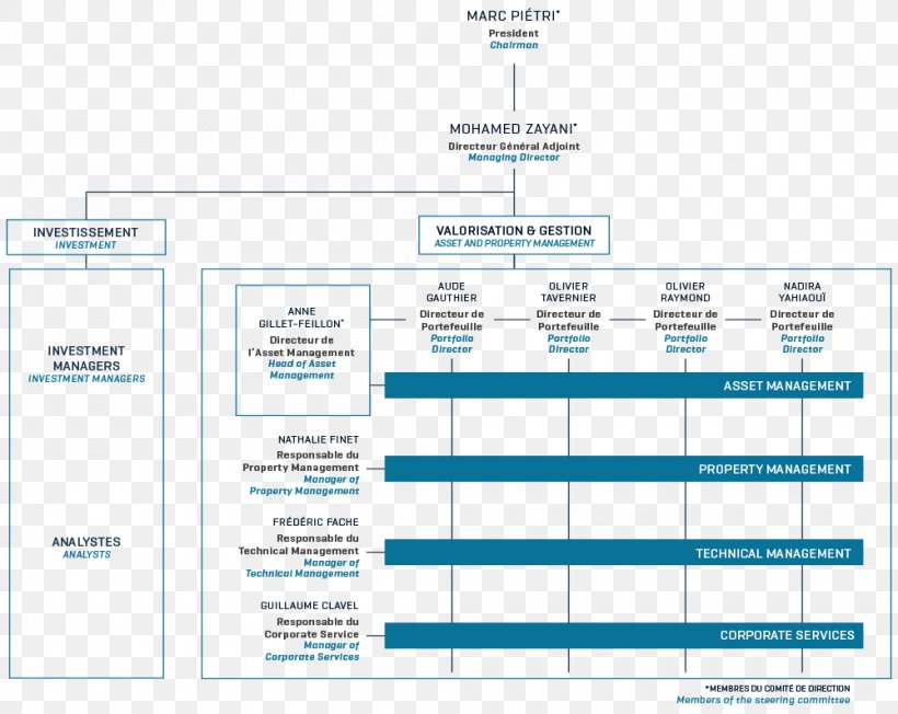 Brand Organization Diagram, PNG, 1000x796px, Brand, Area, Diagram, Organization, Text Download Free