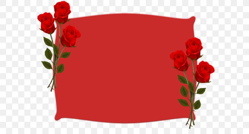 Ender Kebap & Lahmacun Ihlamurkuyu Mahallesi Birthday Party Image, PNG, 600x440px, Birthday, Carmine, Coquelicot, Floral Design, Flower Download Free