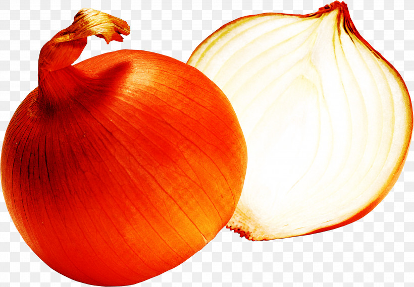 Orange, PNG, 3000x2085px, Yellow Onion, Allium, Amaryllis Family, Food, Natural Foods Download Free