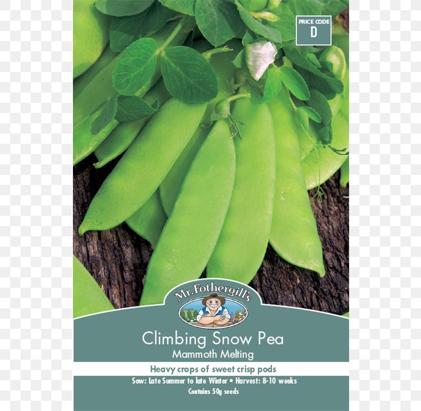 Snow Pea Mammoth Lakes Seed Vegetable, PNG, 800x800px, Snow Pea, Fizzy Drinks, Leaf, Lettuce, Mammoth Lakes Download Free