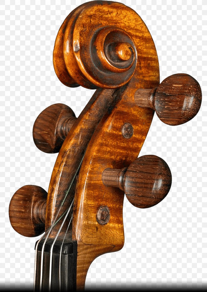 Violone Violin Cello Alessandro Ciciliati Viola, PNG, 1000x1409px, Violone, Bowed String Instrument, Cello, Liuteria, Luthier Download Free