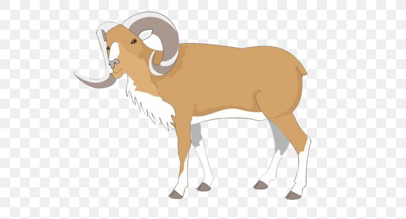 Bighorn Sheep Dall Sheep Goat Clip Art, PNG, 1024x555px, Sheep, Bighorn Sheep, Cattle Like Mammal, Cow Goat Family, Dall Sheep Download Free