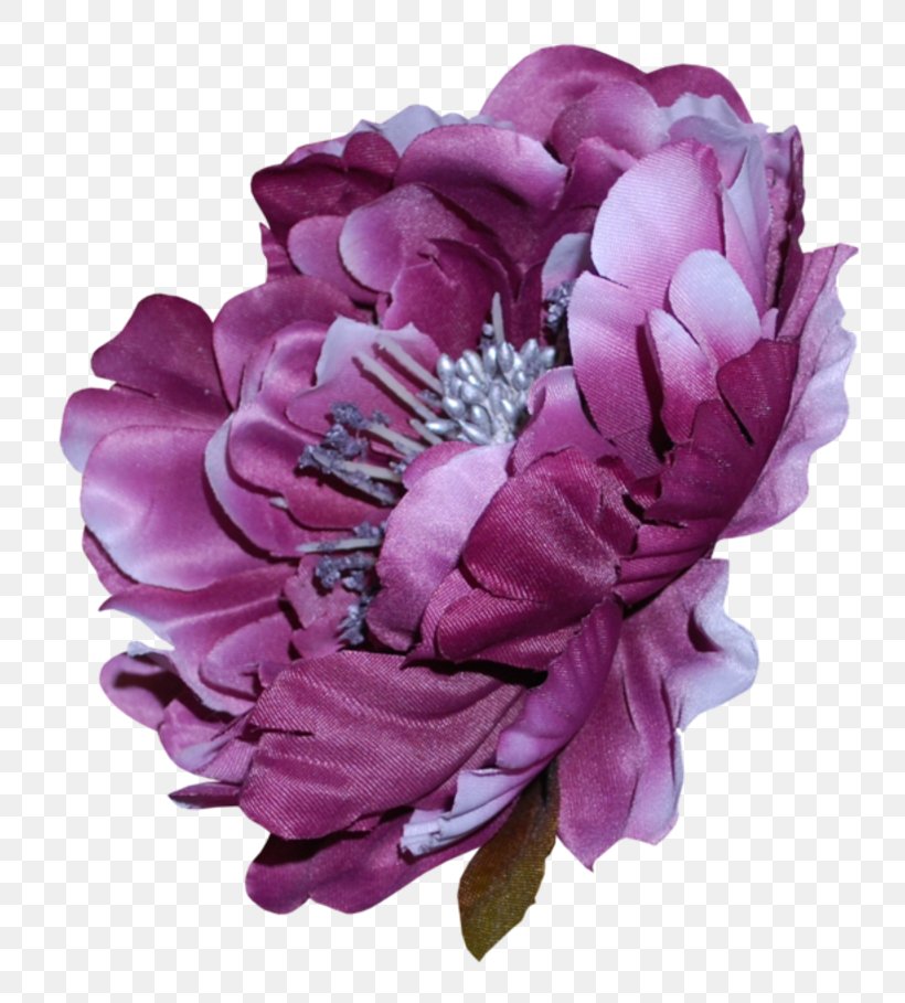 Cut Flowers Rose Purple, PNG, 800x909px, Flower, Color, Cut Flowers, Flower Bouquet, Flowering Plant Download Free