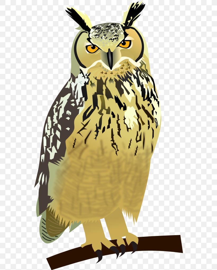 Great Horned Owl Drawing, PNG, 562x1023px, Owl, Beak, Bird, Bird Of Prey, Drawing Download Free