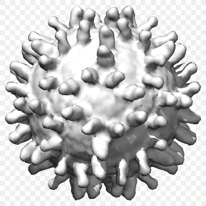 Human Papillomavirus Infection West Nile Fever Hepatitis C Virus Disease, PNG, 2000x2000px, Virus, Black And White, Cancer, Cervical Cancer, Cytomegalovirus Download Free