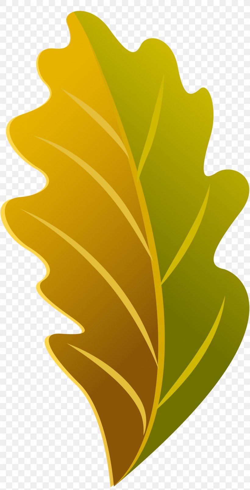 Plant Leaf Flower Font, PNG, 2401x4700px, Plant, Flower, Leaf, Tree, Yellow Download Free