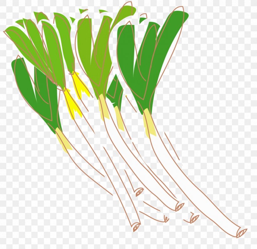 Shallot Cong You Bing Allium Fistulosum Vegetable, PNG, 1249x1211px, Shallot, Allium Fistulosum, Cartoon, Condiment, Cong You Bing Download Free