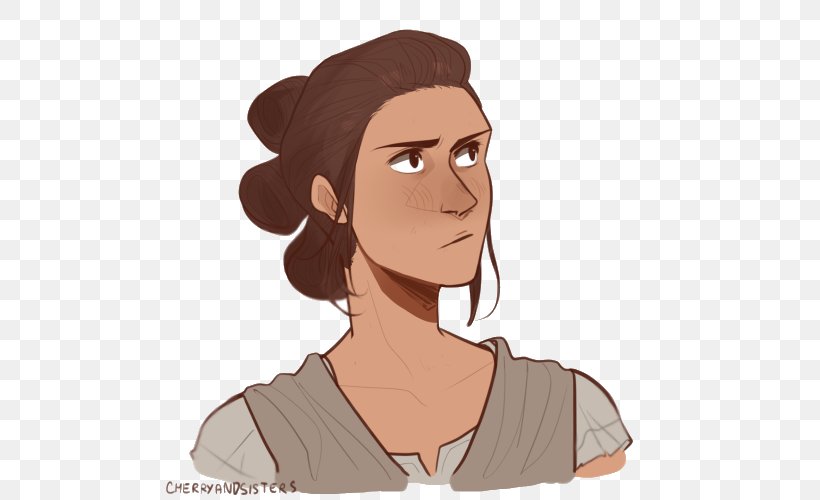 Rey Kylo Ren Ear Brown Hair, PNG, 500x500px, Watercolor, Cartoon, Flower, Frame, Heart Download Free