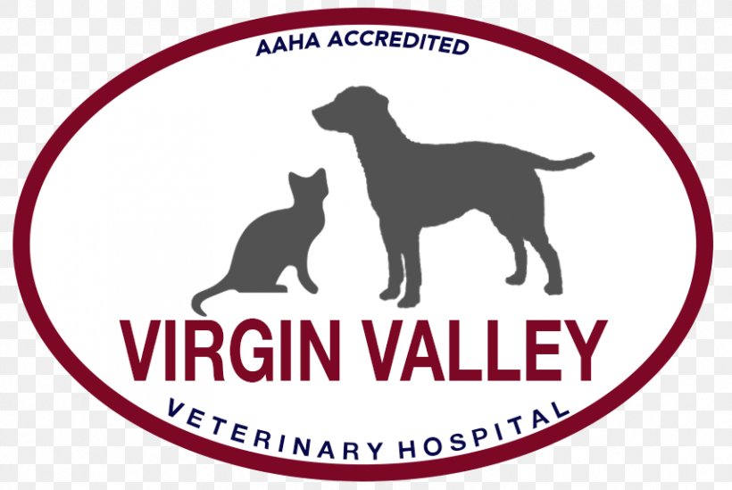 Virgin Valley Veterinary Hospital Dog Breed Virgin Valley High School Veterinarian, PNG, 856x574px, Dog Breed, Area, Brand, Carnivoran, Dog Download Free