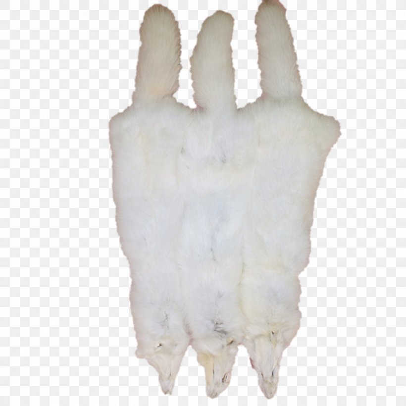 Arctic Fox Fur Hide Tanning, PNG, 960x960px, Arctic Fox, Arctic, Canada, Color, Finger Download Free