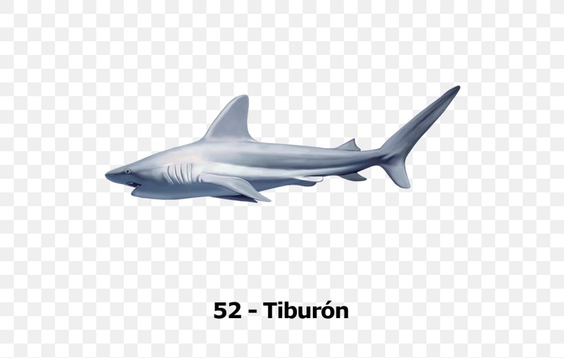 Tiger Shark Squaliform Sharks Desktop Wallpaper, PNG, 696x521px, Tiger Shark, Carcharhiniformes, Cartilaginous Fish, Deviantart, Fan Art Download Free