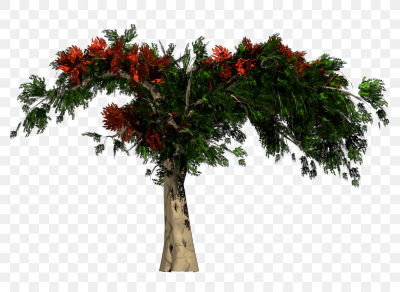 African Trees Rendering, PNG, 800x600px, 3d Computer Graphics, African Trees, Adobe Imageready, Blender, Branch Download Free