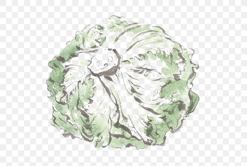 Chinese Cabbage Napa Cabbage Vegetable, PNG, 600x552px, Chinese Cabbage, Cabbage, Endive, Flower, Gratis Download Free