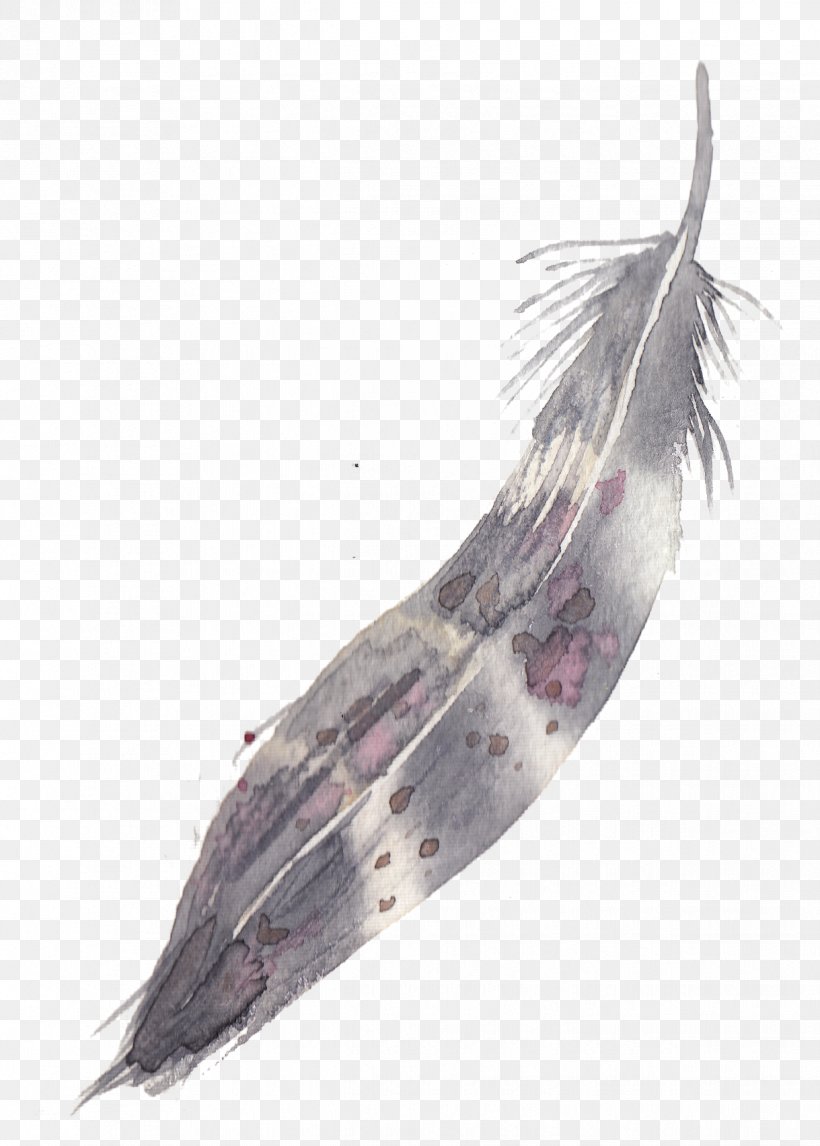 Feather Watercolor Painting, PNG, 1219x1705px, Feather, Fauna, Marine Mammal, Painting, Purple Download Free
