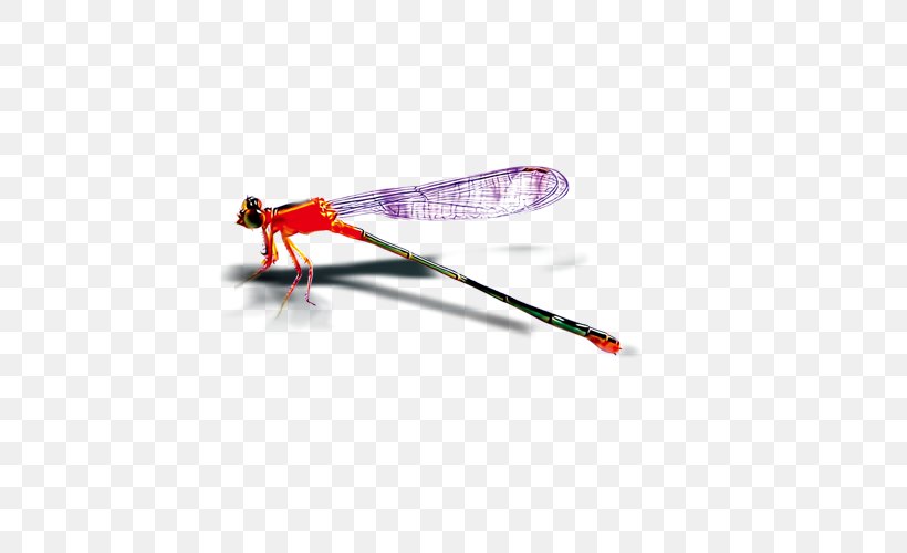 Insect Dragonfly, PNG, 500x500px, Insect, Dragonfly, Jpeg Network Graphics, Ski Pole, Sports Equipment Download Free