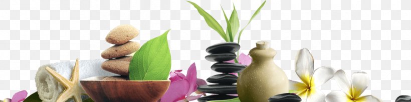 IVY NAIL SPA Beauty Parlour Day Spa Massage, PNG, 1192x298px, Beauty Parlour, Banana, Beauty, Cosmetics, Cosmetology Download Free