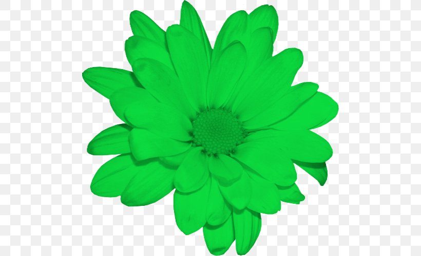 Stock Photography Chrysanthemum DeviantArt Clip Art, PNG, 500x500px, Stock Photography, Chrysanthemum, Chrysanths, Daisy Family, Deviantart Download Free