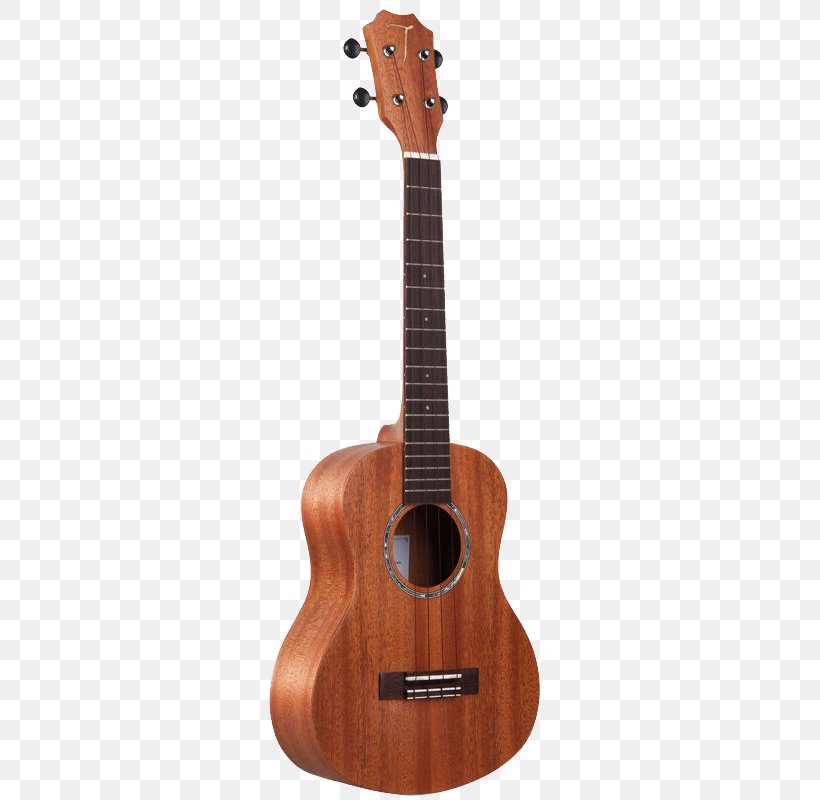 Ukulele Musical Instrument Guitar Fingerboard String Instrument, PNG, 510x800px, Watercolor, Cartoon, Flower, Frame, Heart Download Free