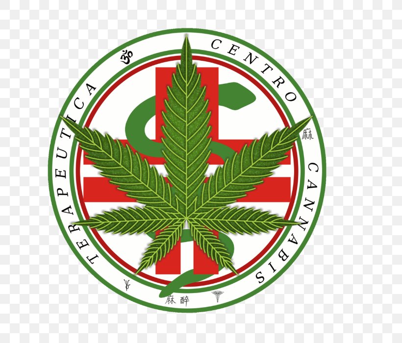 Cannabis Sativa Marijuana Medical Cannabis Leaf, PNG, 700x700px, Cannabis Sativa, Afghanica, Cannabidiol, Cannabinoid, Cannabis Download Free