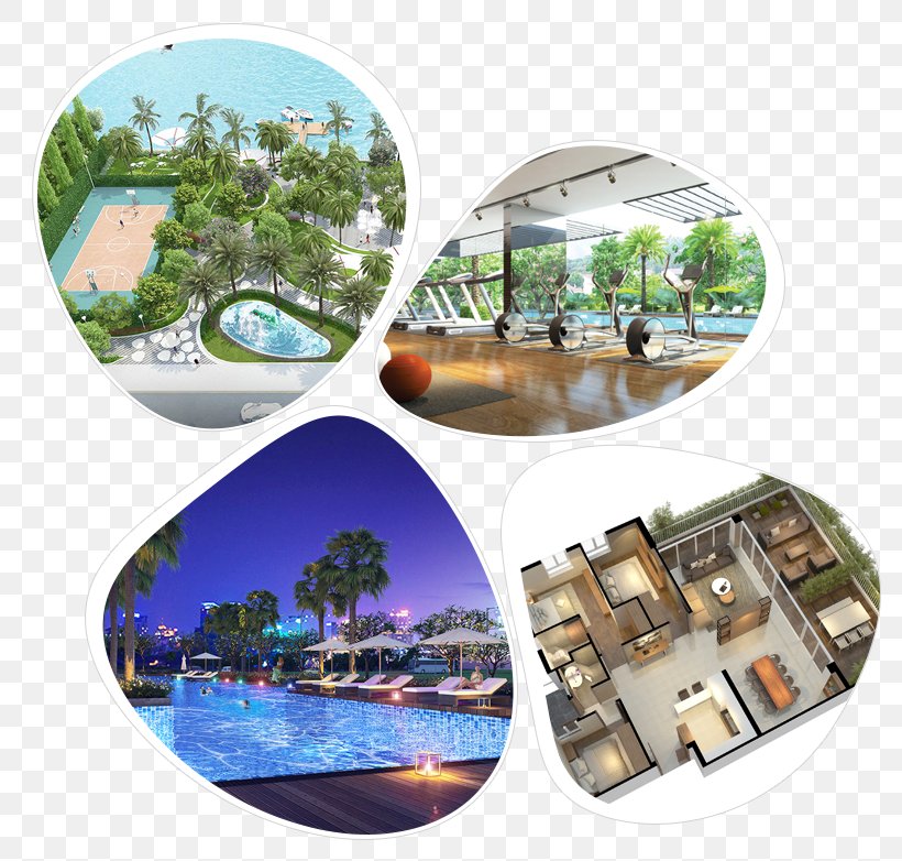 Condo Hotel Tân Phú District Condominium MILLENNIUM, PNG, 819x782px, Condo Hotel, Apartment, Collage, Condominium, District 8 Ho Chi Minh City Download Free