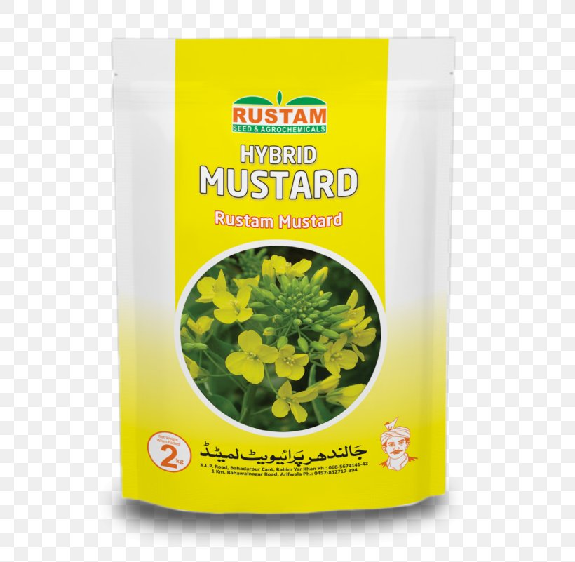 Jalandhar Mustard Plant Leaf Vegetable Mustard Seed, PNG, 801x801px, Jalandhar, Crop, Herb, Herbal, Herbalism Download Free